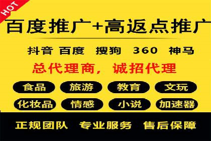 百度竞价推广运营策略：成功案例解析